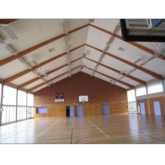 Przemysłowy panel grzewczy na podczerwień  ECOSUN S+ - ogrzewanie sal sportowych, hal widowiskowych