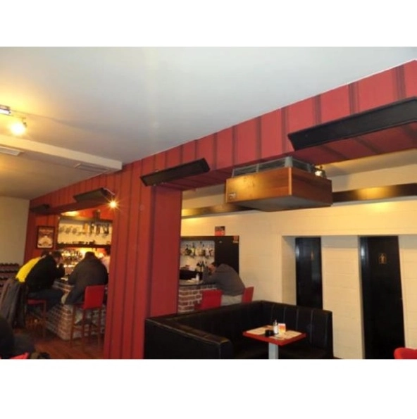 Ecosun TH  panel grzewczy na podczerwień, promiennik