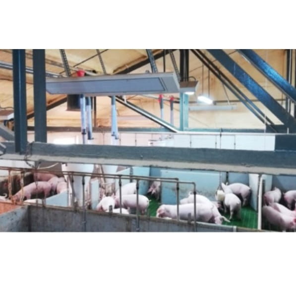 Przemysłowe panele grzewcze na podczerwień Ecosun S+  Anticor -  ogrzewanie obiektów hodowlanych