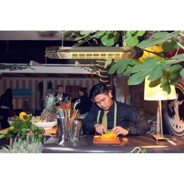 IRIS  Promiennik ciepła podczerwieni z pilotem (IP65, lampa: white forozen)