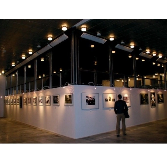 Przemysłowe panele grzewcze na podczerwień Ecosun S+  - ogrzewanie galerii, hal wystawowych